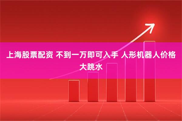 上海股票配资 不到一万即可入手 人形机器人价格大跳水